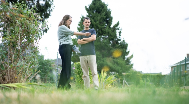 Tuinadvies met de coach